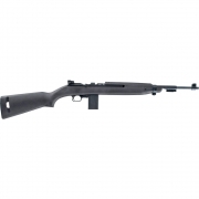 Chiappa M1-22